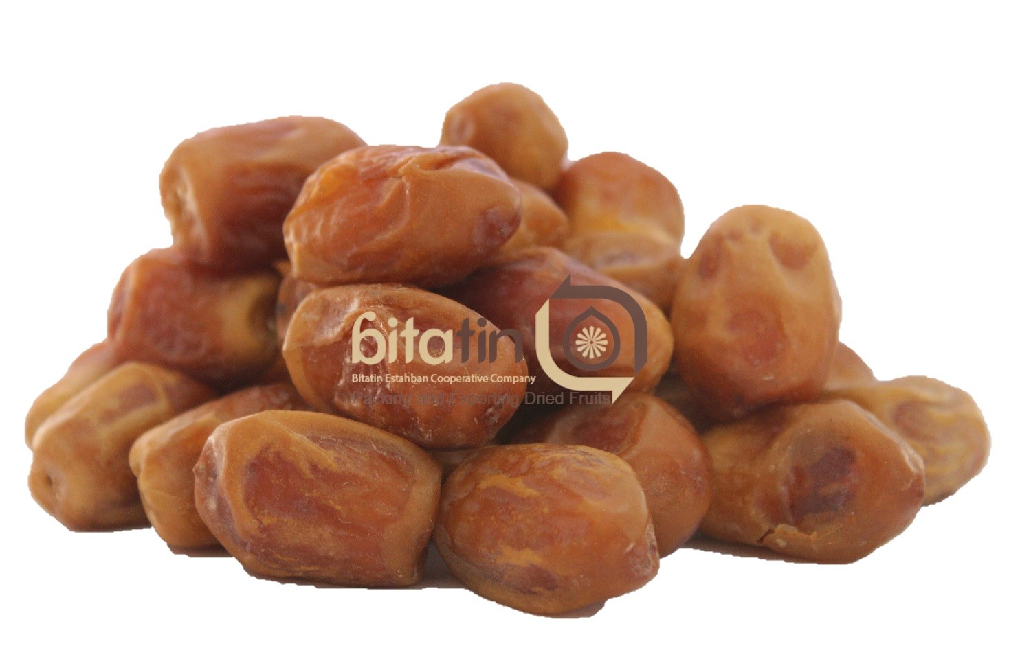 Zahedi Date