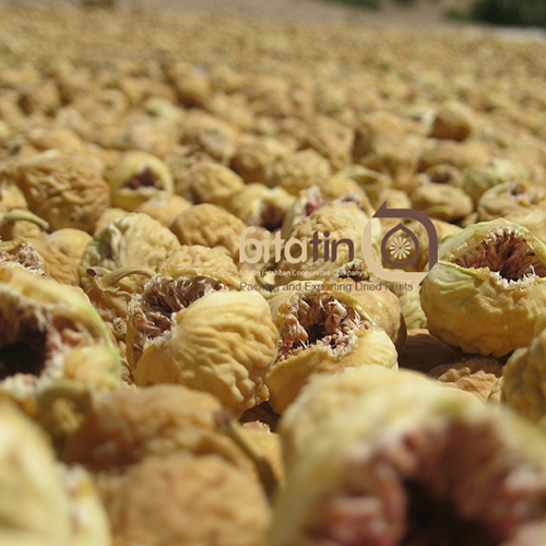 Fig and Hair