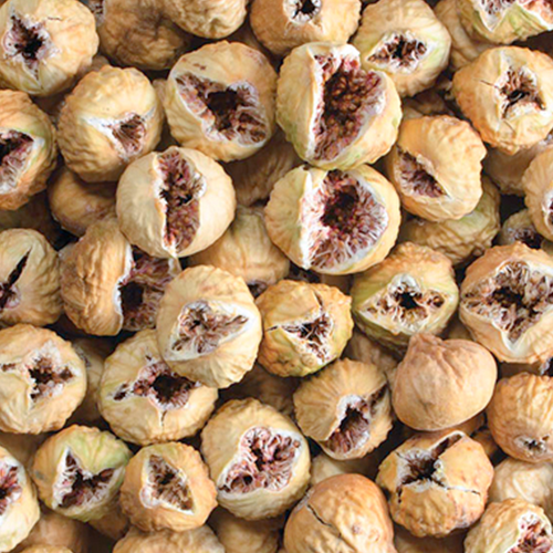 Fig