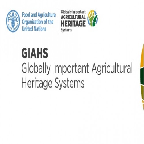Introduction to GIAHS