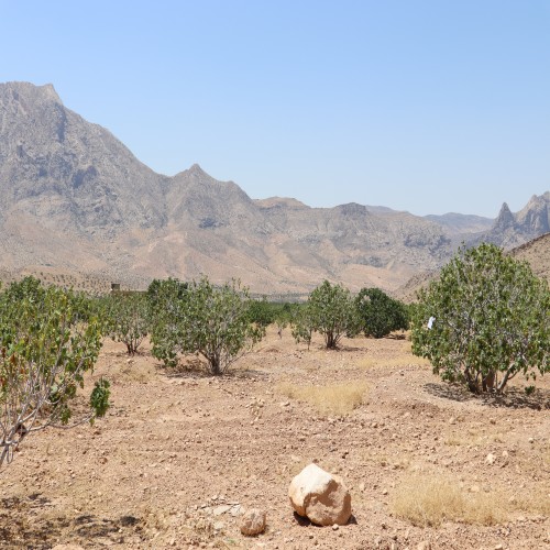 Drought Crisis in Estahban