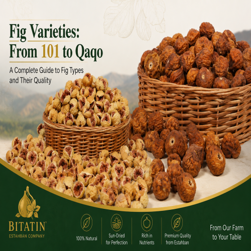 Fig Varieties: From 101Fig to Qaqo